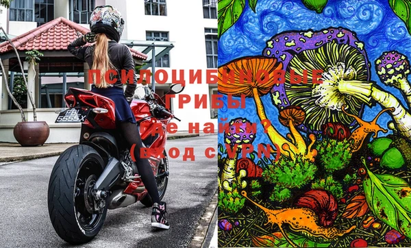 молекула духа Арсеньев
