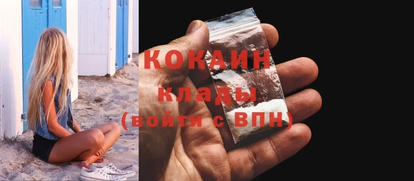 молекула духа Арсеньев