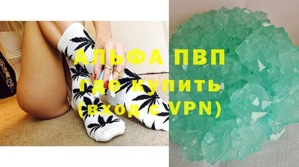 молекула духа Арсеньев