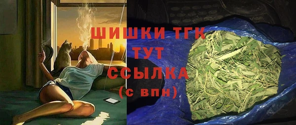 молекула духа Арсеньев