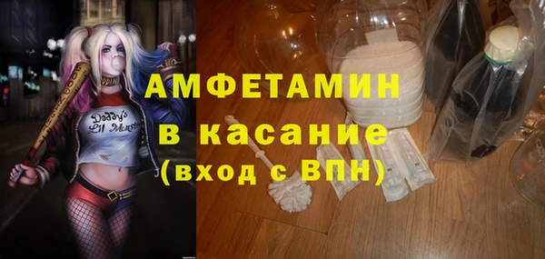 молекула духа Арсеньев