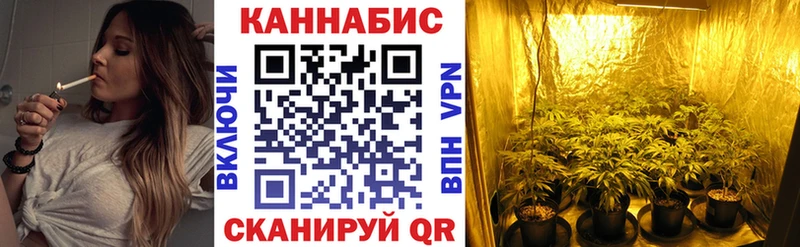Конопля планчик  закладка  Дорогобуж 